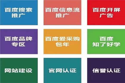 SEM推广案例：竞价代运营助力企业快速崛起